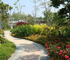 �Ƶ�G������